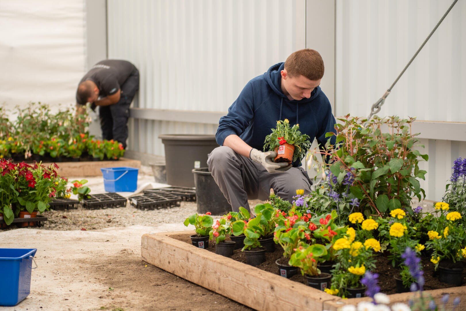 Zwei Personen kümmern sich um einen Garten in einem Gewächshaus. Eine Person kniet und pflanzt Blumen in ein Hochbeet, während die andere im Hintergrund neben Topfpflanzen arbeitet. Bunte Blumen und Gartengeräte sind zu sehen.
