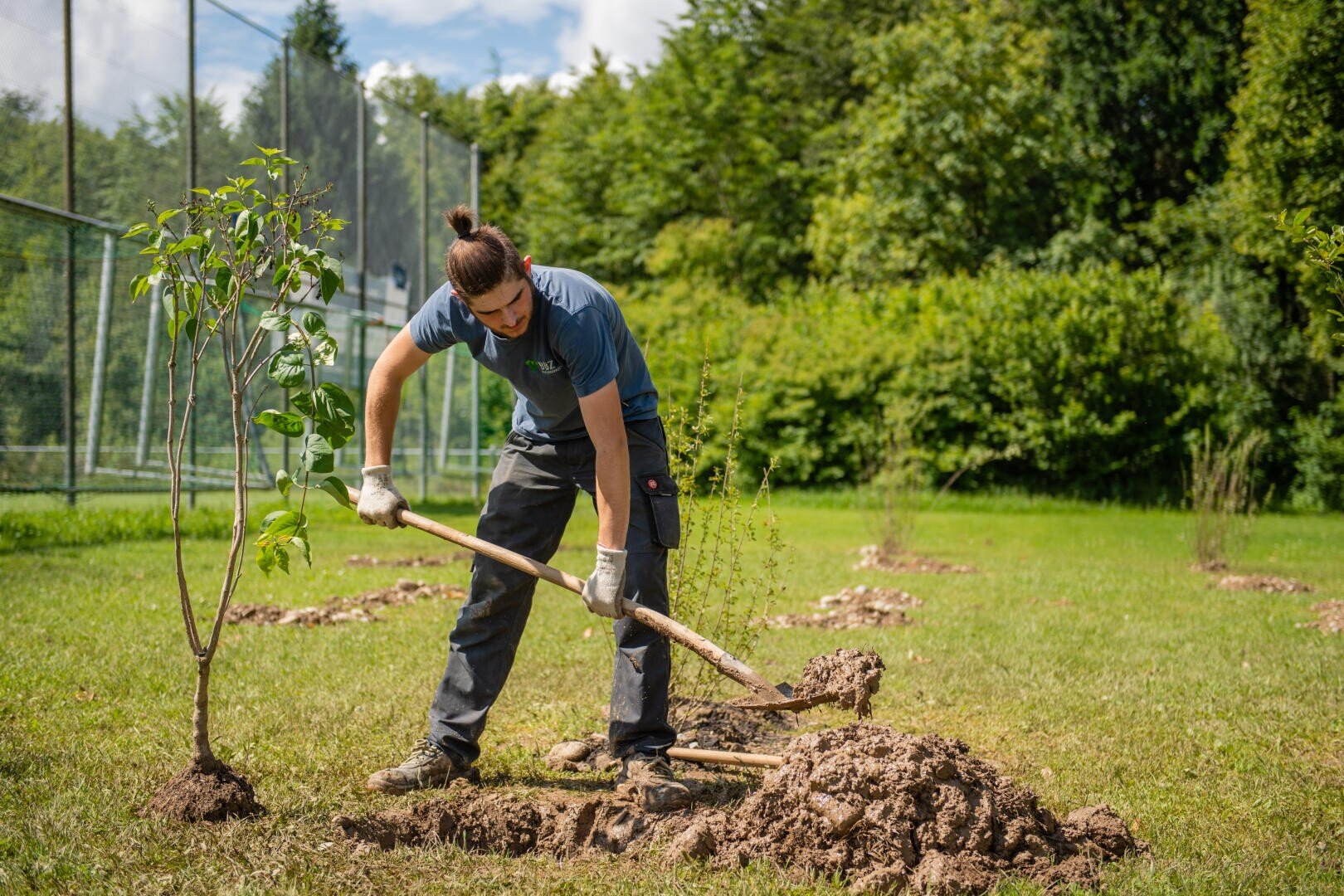 Eine Person mit Handschuhen gräbt mit einer Schaufel ein Loch in eine Wiese, um einen jungen Baum zu pflanzen. Im Hintergrund sind mehrere kleine Erdhügel und weitere Setzlinge zu sehen, in der Nähe stehen Bäume und Zäune.