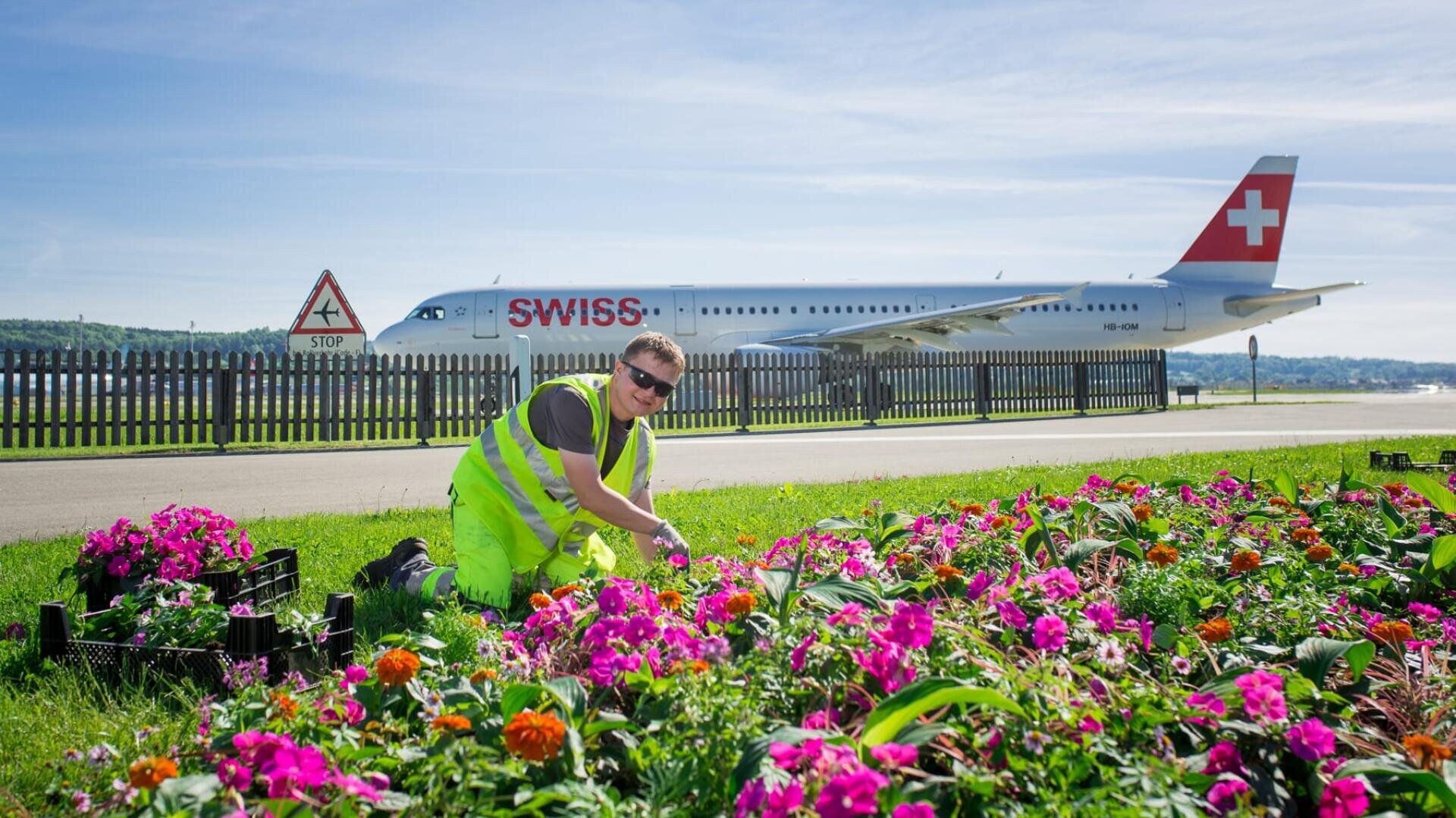 Ein Arbeiter in einer gelben Weste pflegt ein farbenfrohes Blumenbeet in der Nähe der Landebahn eines Flughafens. Im Hintergrund sind ein Schweizer Flugzeug und ein Stoppschild zu sehen.