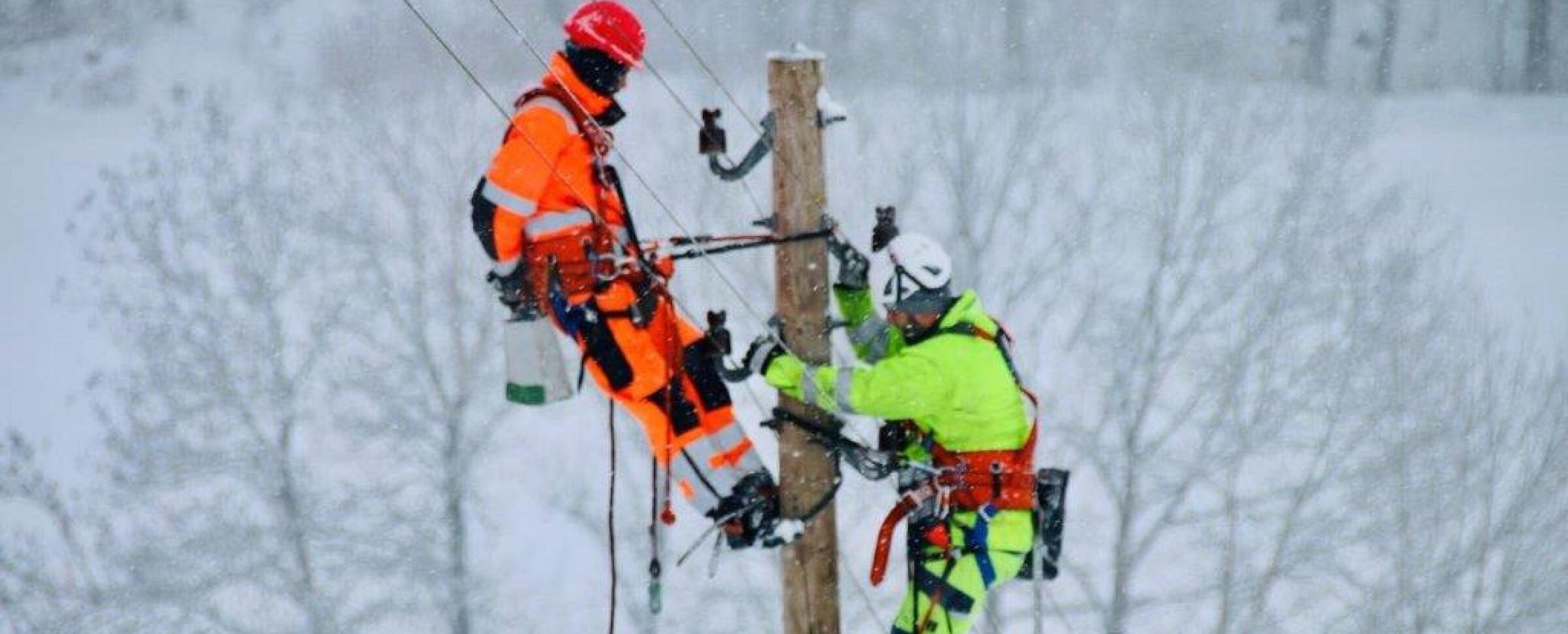 Verein Netzelektriker Forum
